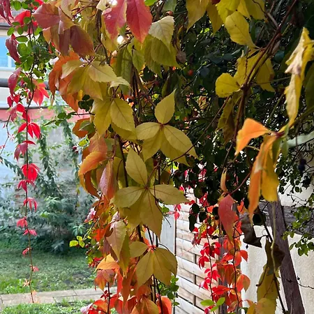 Apartamento Familie Renner