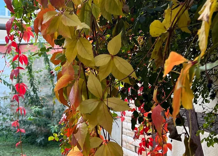 شقة Familie Renner